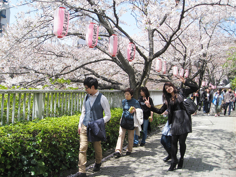 留学エージェント事業イメージ画像